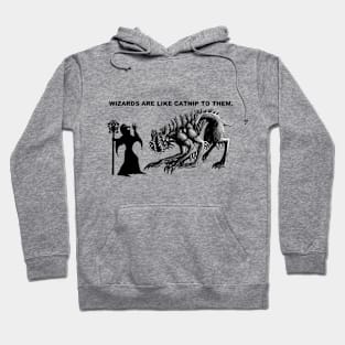 Makdul. Wizards are like catnip. Hoodie